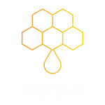 ريو